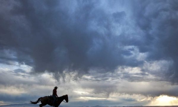 Cowboy - Fiction française - Far west